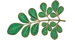 Untitled design 1 1