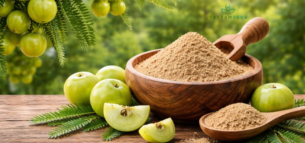satyamveda amla powder